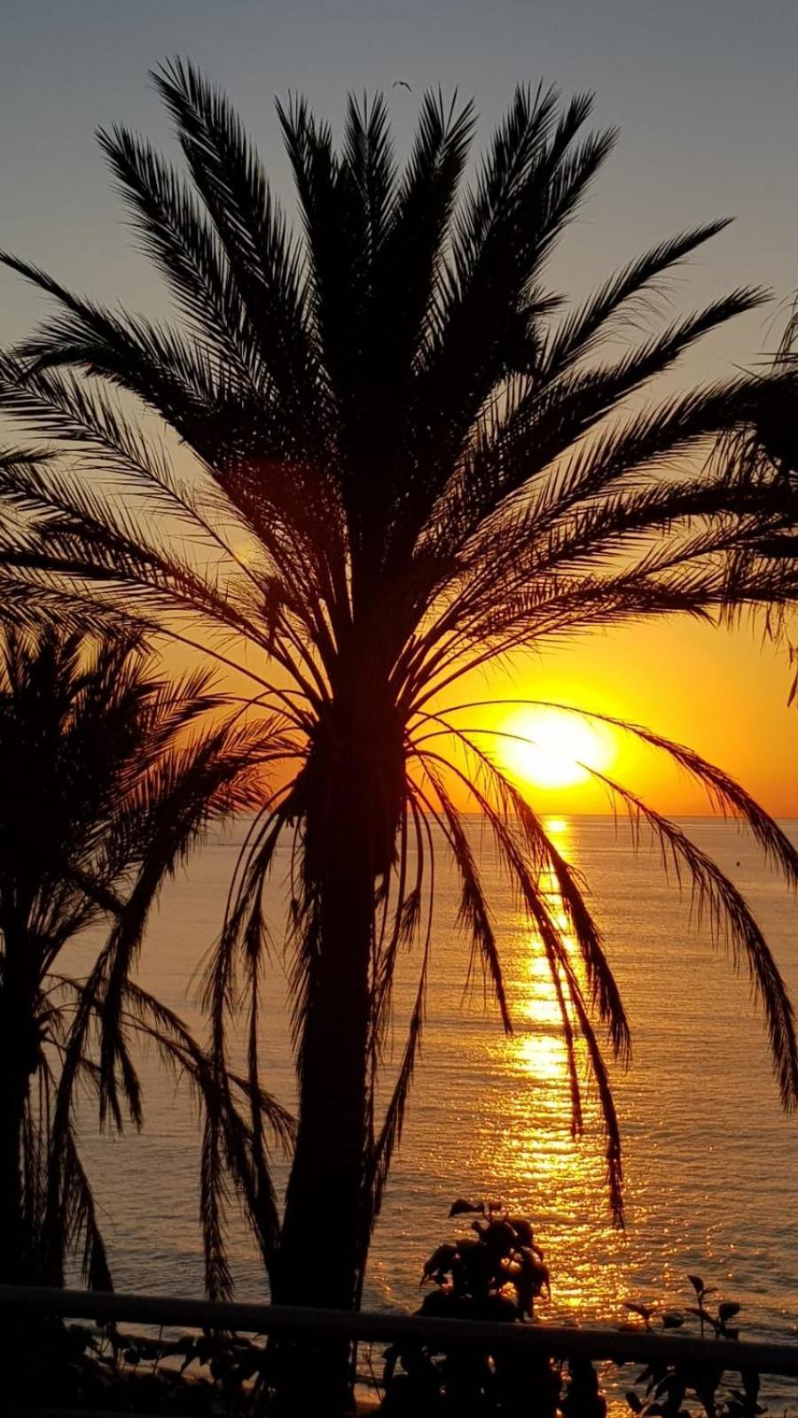 Aloha Beach Vibe Benalmádena Exteriör bild